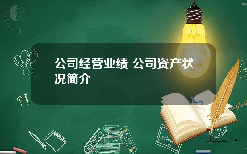 公司经营业绩 公司资产状况简介